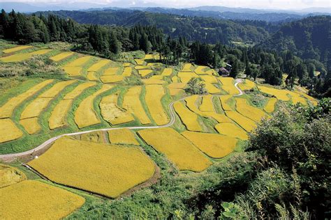 小千谷 掲示板|小千谷市(新潟県)掲示板